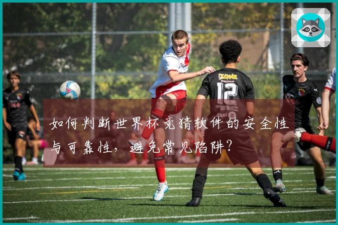 如何判断世界杯竞猜软件的安全性与可靠性，避免常见陷阱？