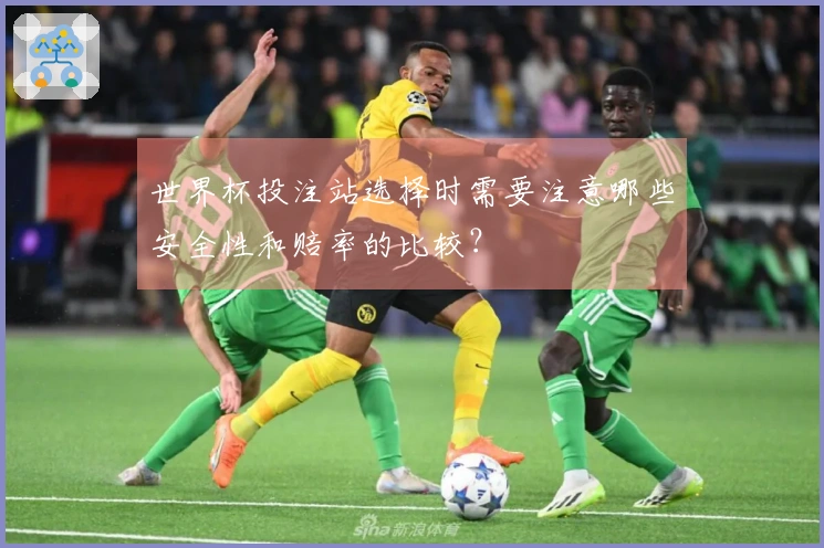 世界杯投注站选择时需要注意哪些安全性和赔率的比较？